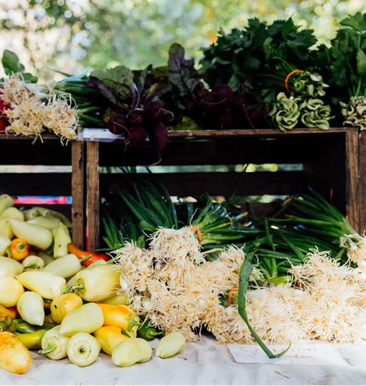 50 Fun Things To Do 314 Image of Food Halls & Farmer Markets