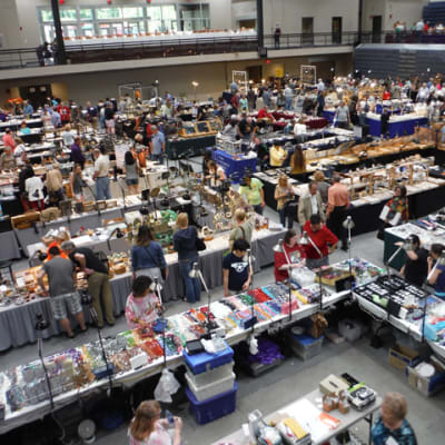 Georgia Mineral Society Gem, Mineral & Fossil Show