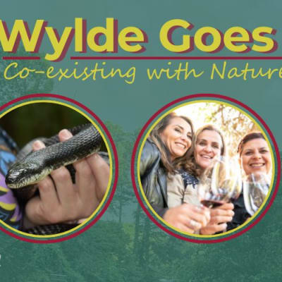 Wylde Goes WILD