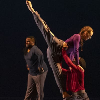 Rialto Feed Your Senses featuring Dance Canvas