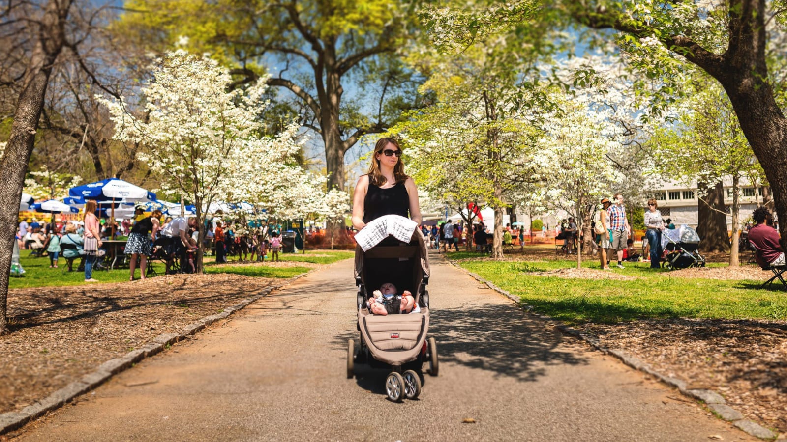89th Annual Atlanta Dogwood Festival