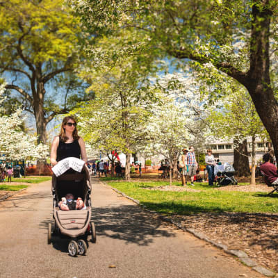 89th Annual Atlanta Dogwood Festival
