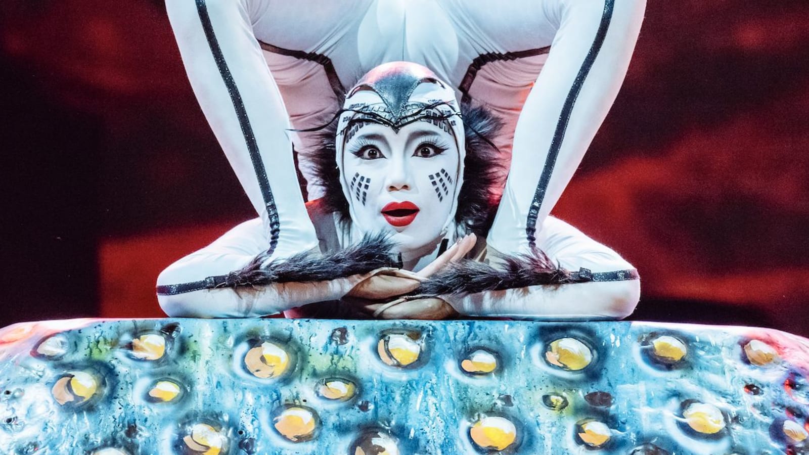 OVO by Cirque du Soleil
