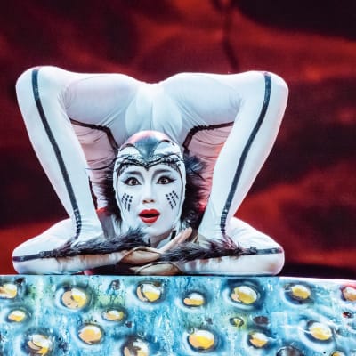 OVO by Cirque du Soleil