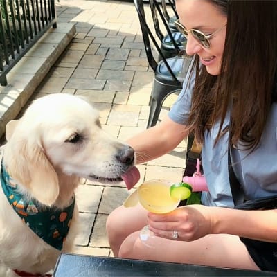 Barks and Bites: Doggie Crawl on the Beltline
